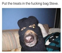 Nobody has to get hurt Steve