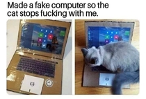Not my Kat