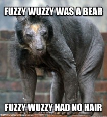Not quite how I imagined Fuzzy Wuzzy