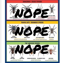 Now that its warm and spider season its good to acquaint yourself with the different spiders you might come across and their danger level