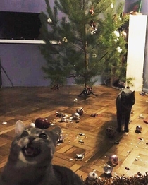 Now we need new Christmas tree toys