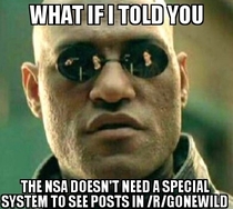 NSA viewing Gonewild