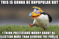 Obvious Opinion Puffin