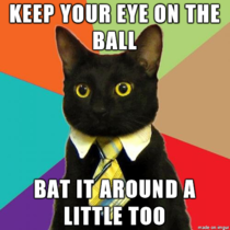 Office Cat is good at advice