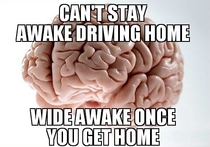 On my way home from work every night thanks brain