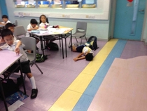 One of my students just gave up today and lay down