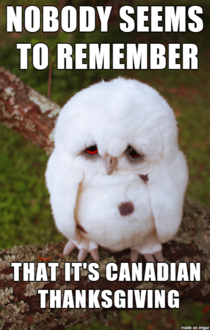 Only saw one post about the holiday in Canada today