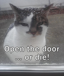 Open the door 