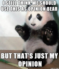 Opinion bear