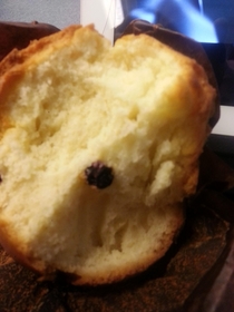Ordered a blueberry muffin Got  blueberry I didnt expect the description to be so accurate