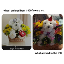 Ordered a doggie doctor arrangement for my father-in-law in the ICU about to undergo surgery for a brain aneurysm somehow the florist thought a party hat was an appropriate substitution 