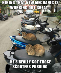 Overheard at the local scooter shop