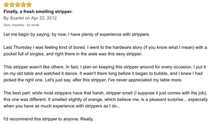 Paint stripper review