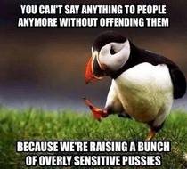 People are too easily offended