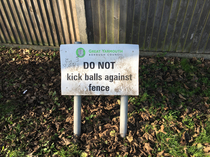 Phew my balls are safe so long as I stay next to the fence 