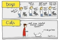 Pic #1 - Dogs Vs Cats