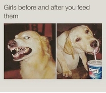 Pic #1 - girls before and after you feed them