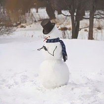 Pic #1 - Hilariously Creative Snowmen That Would Make Calvin And Hobbes Proud