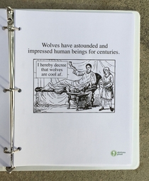 Pic #1 - I left this free biology report about wolves outside a Los Angeles high school