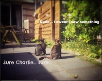 Pic #1 - Meet Charlie and Lana - The Album