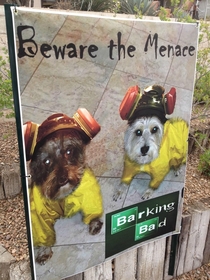 Pic #1 - My dad lives on a golf course Someone left him an anonymous note saying that his tiny and quiet dogs were a menace and that they were hostile to golfers then threatened to have it resolved My dad responded by putting this poster in his backyard t