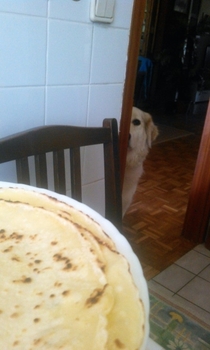 Pic #1 - My dog while I eat pancakes