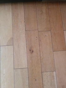 Pic #1 - Theres an alien face in my kitchen floor