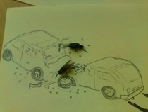 Pic #10 - Sometimes i get bored at work Have some dead flies 