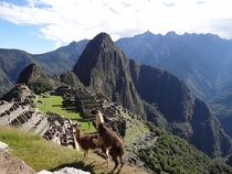 Pic #2 - I was top comment earlier on a post about a llama in Machu Piccu You guys sent me a bunch of funny llama pics as replies so I compiled them all into  album Enjoy