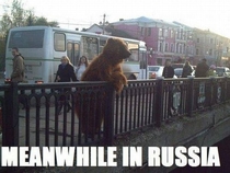 Pic #2 - Meanwhile in Russia an album