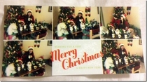 Pic #2 - My single sisters very single Christmas cards