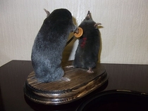 Pic #2 - Taxidermy at its best