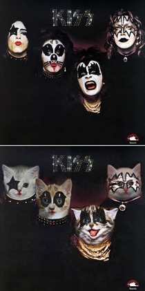 Pic #2 - What can make classic rock albums better Kittens can
