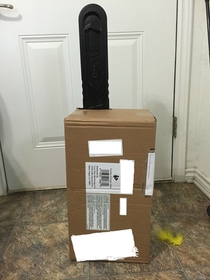 Pic #2 - Yay a package I wonder if it could be that chainsaw I ordered last week