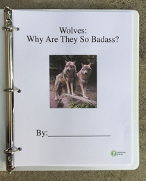 Pic #3 - I left this free biology report about wolves outside a Los Angeles high school