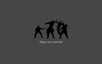 Pic #3 - Ninjas cant get you