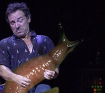 Pic #3 - Rockstars soloing with giant slugs explains the faces