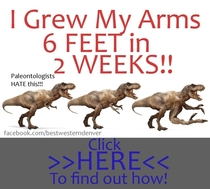 Pic #3 - T-Rex arm jokes are always short