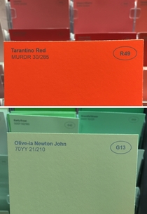 Pic #4 - I renamed some of the paint colors at the hardware store