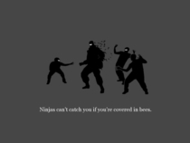 Pic #4 - Ninjas cant get you