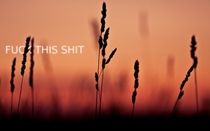 Pic #40 - Fuckscapes Pretty Wallpapers with funny text