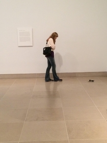Pic #5 - my friend and i set his watch and sunglasses down in an abstract art exhibit at the DMA