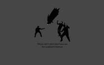 Pic #5 - Ninjas cant get you