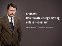 Pic #6 - Some wise words from Ron Swanson