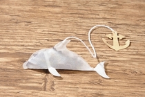 Pic #6 - This teabag