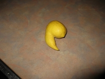 Pic #7 - You call that the worst lemon ever I present you scumbag lemon with clit tickler companion