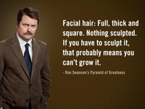 Pic #9 - Some wise words from Ron Swanson