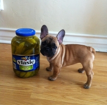Pickles and pickles