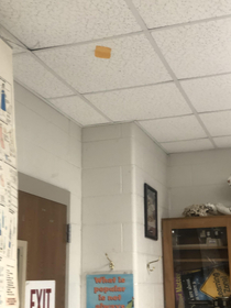 Piece of cheese stuck to a classroom ceiling