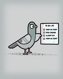 Pigeon to do list